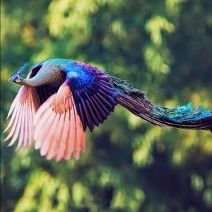 Meet your Posher, Zach